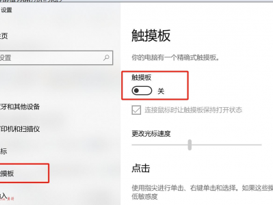 Surface 触控板使用和设置