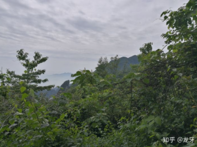 佛在菩提树下，到底是创造了一套无懈可击的理论，还是真的觉悟了？